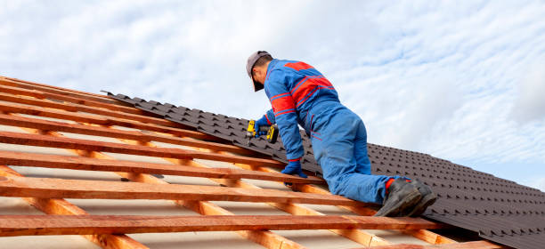 Best Chimney Flashing Repair  in Campbell, FL